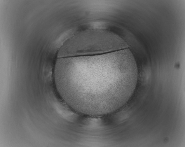 X0000112520552200909071336
