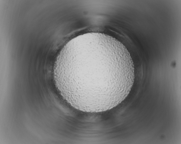X0000112520553200909071336