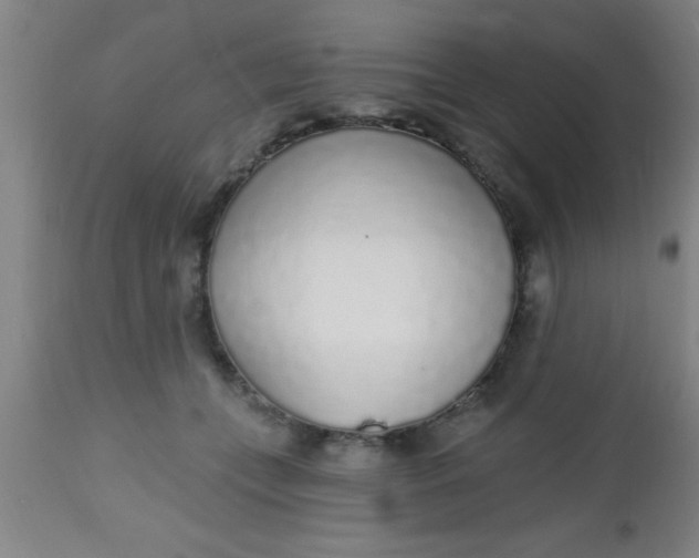 X0000112520559200909071336