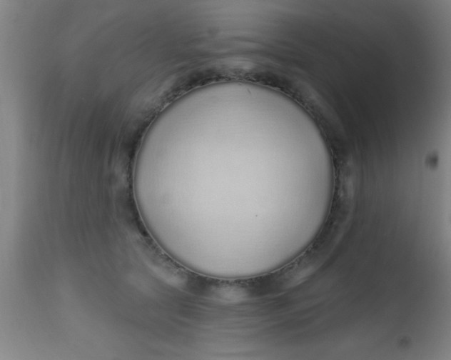 X0000112520561200909071336