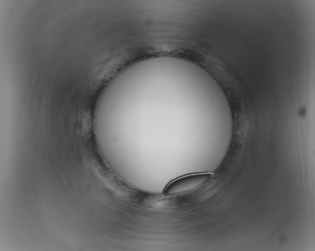 X0000112520563200909071336