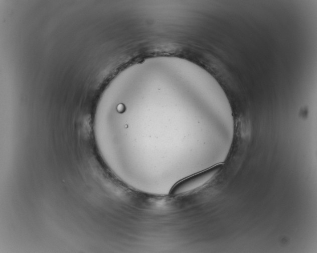 X0000112520564200909071336