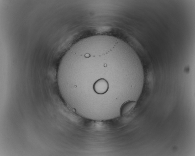 X0000112520565200909071336