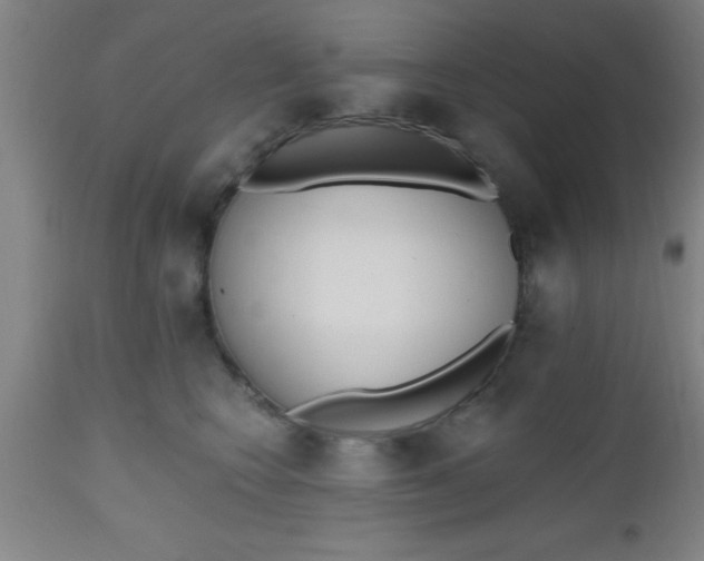 X0000112520566200909071336