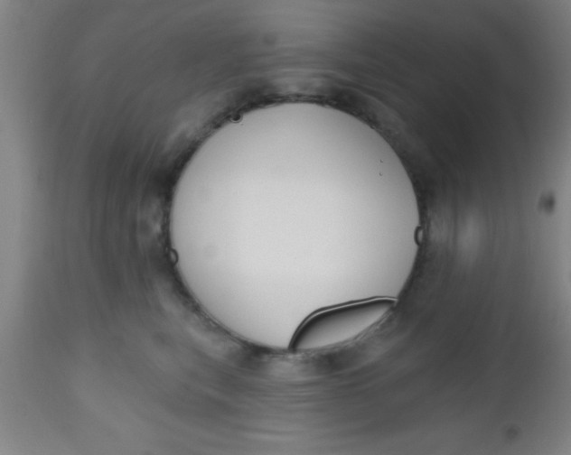 X0000112520567200909071336