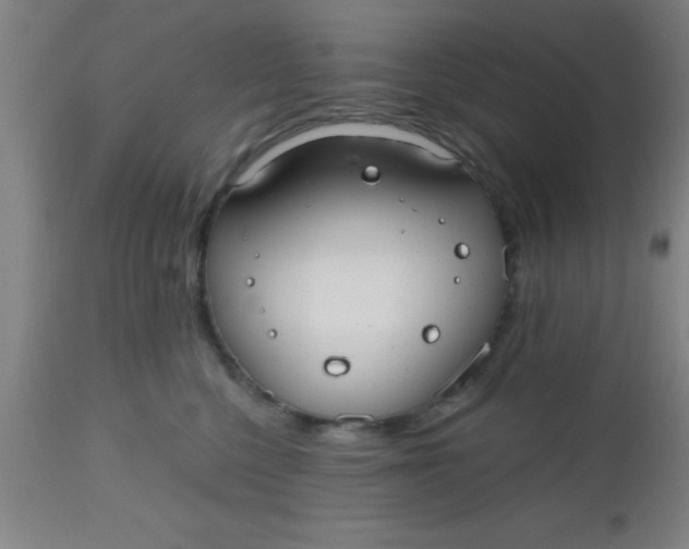 X0000112520568200909071336