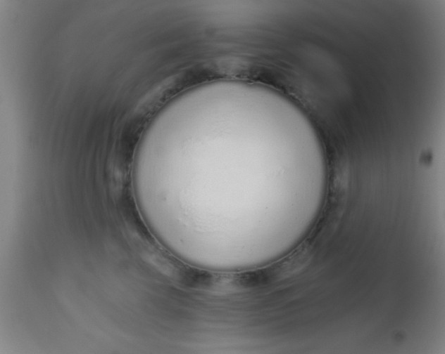 X0000112520569200909071336