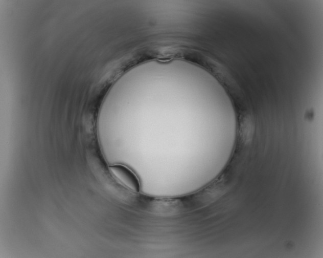X0000112520571200909071336
