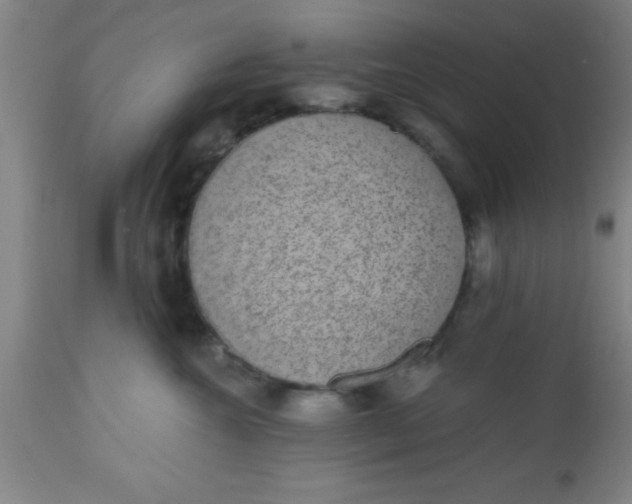 X0000112520572200909071336