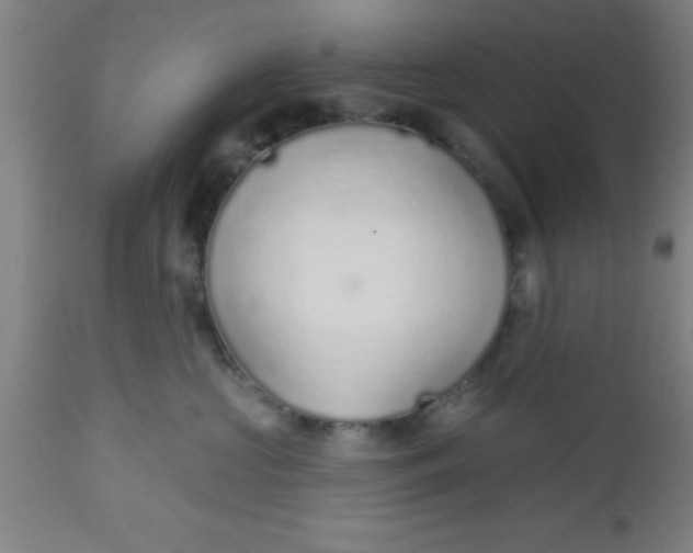 X0000112520573200909071336