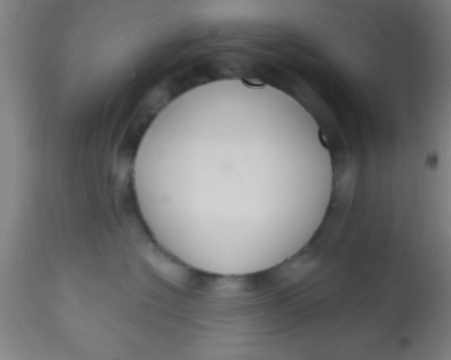 X0000112520574200909071336