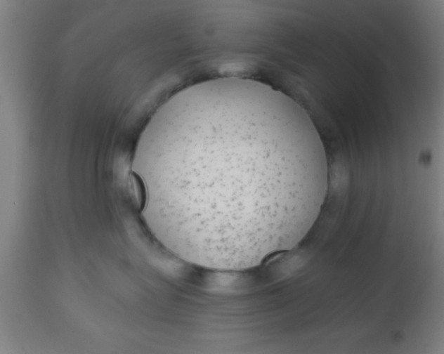 X0000112520575200909071336