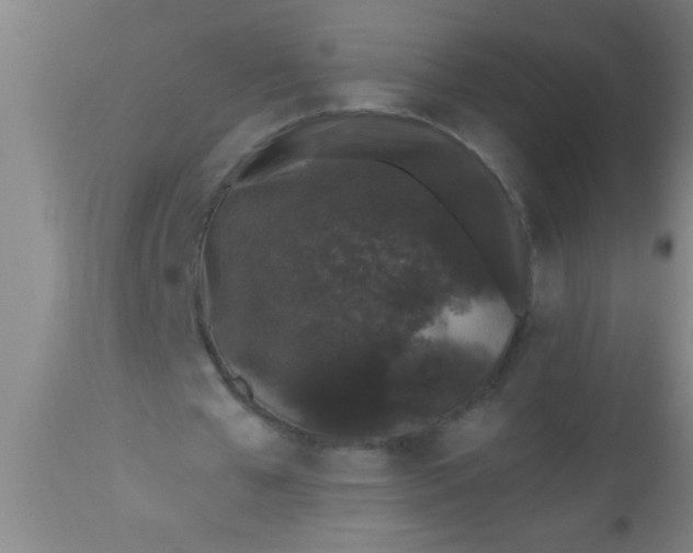 X0000112520577200909071335
