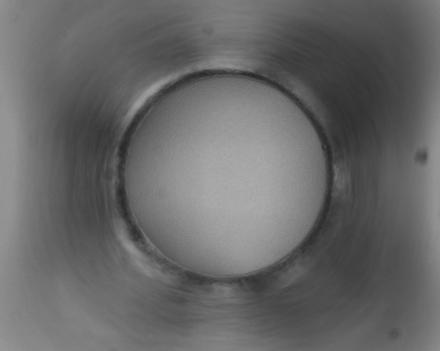 X0000112520580200909071335