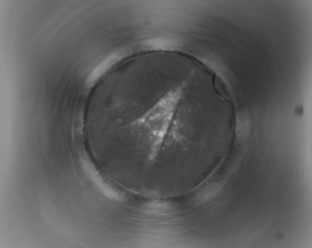 X0000112520581200909071335