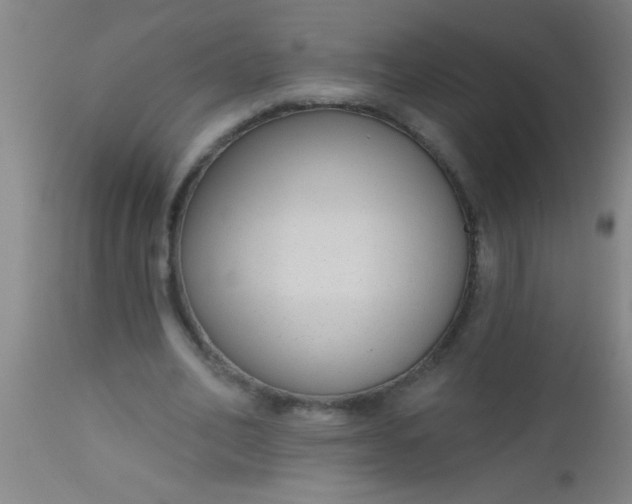 X0000112520582200909071335