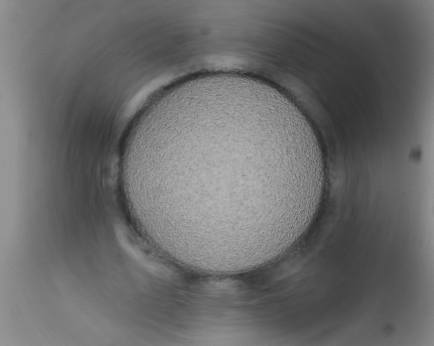 X0000112520583200909071335