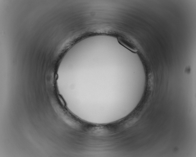 X0000112520589200909071335