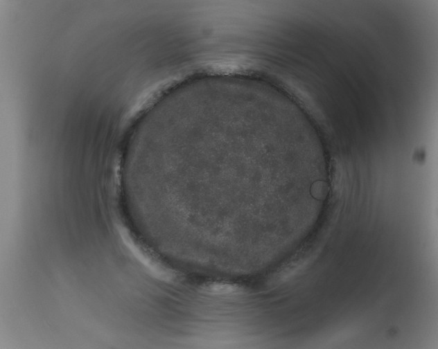 X0000112520590200909071335