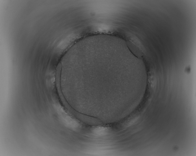 X0000112520593200909071335