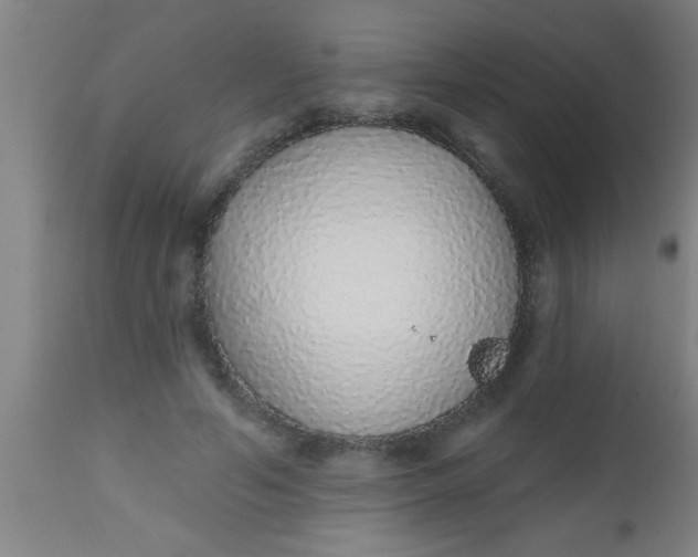 X0000112520594200909071335