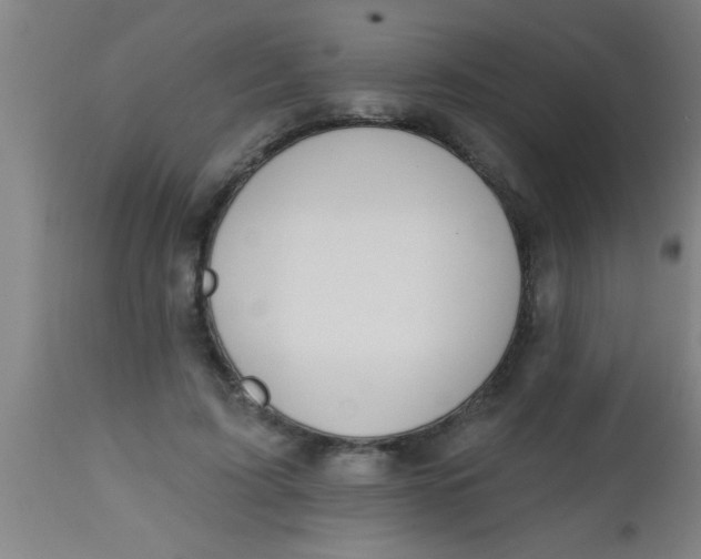 X0000112520595200909071335