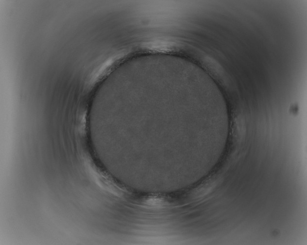 X0000112520596200909071335