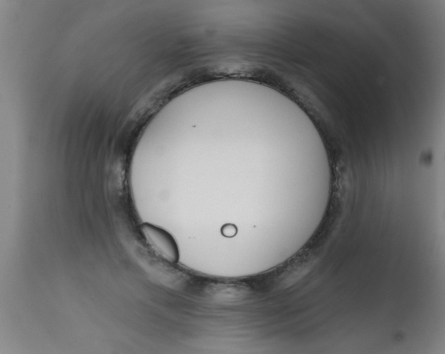 X0000112520597200909071335
