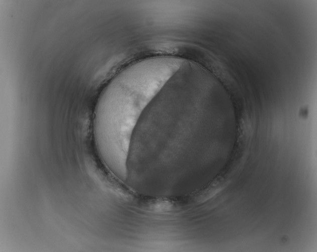 X0000112520600200909071335