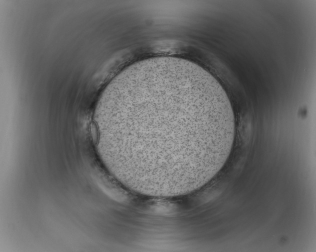 X0000112520601200909071335