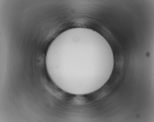 X0000112520603200909071335