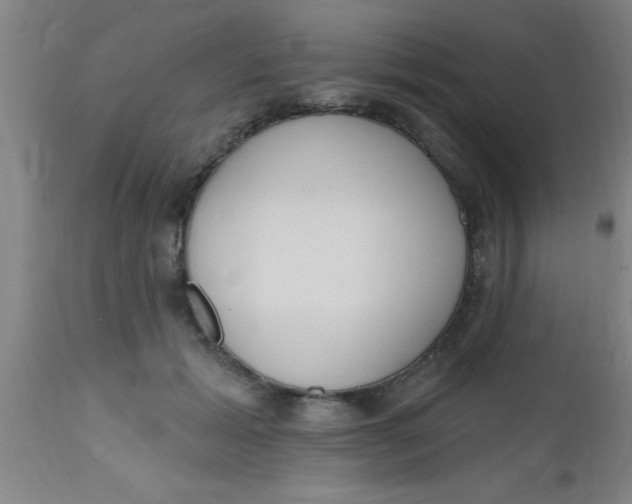 X0000112520605200909071335