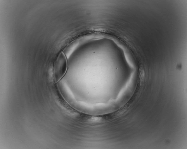 X0000112520609200909071335