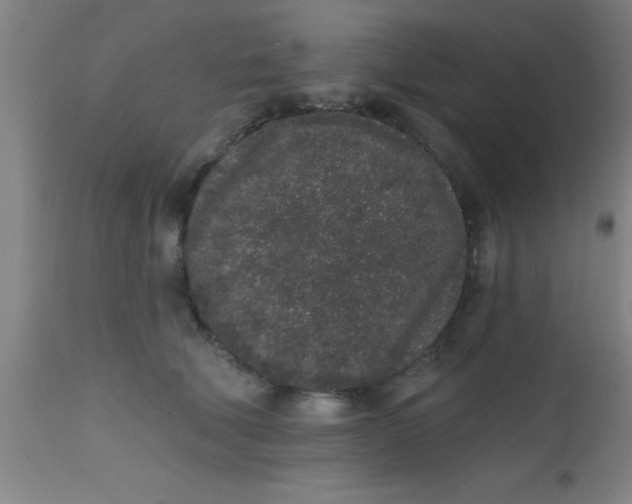 X0000112520610200909071335