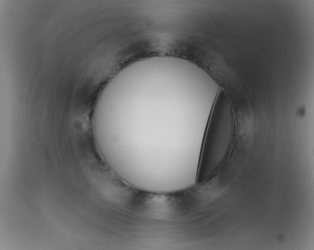 X0000112520611200909071335