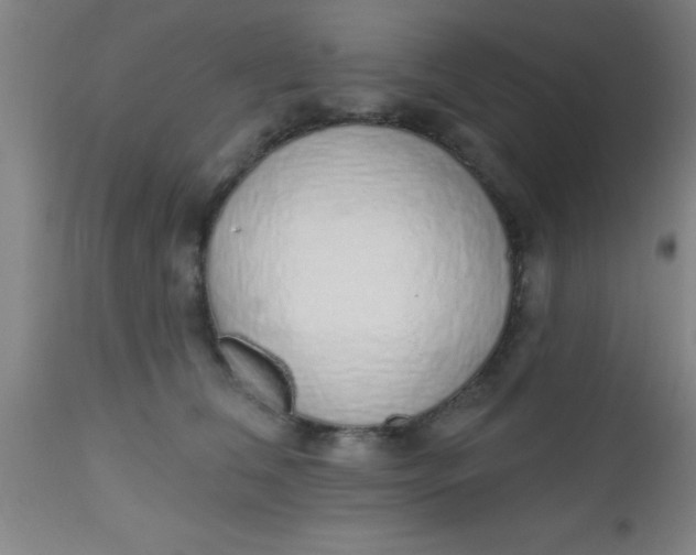 X0000112520612200909071335
