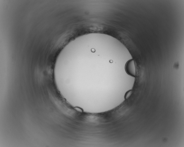 X0000112520614200909071335