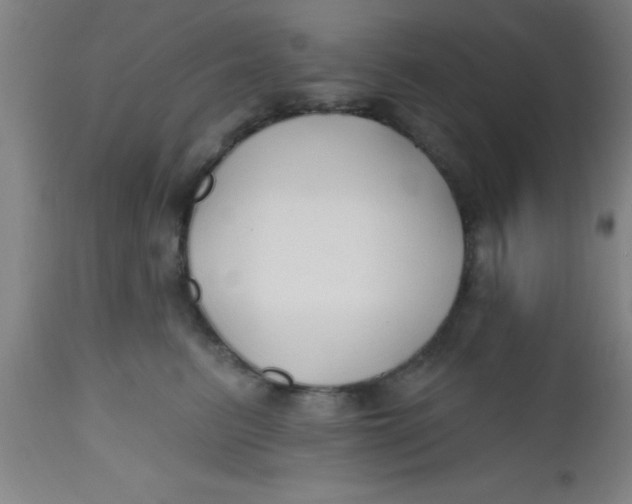 X0000112520615200909071335