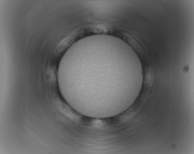 X0000112520616200909071335