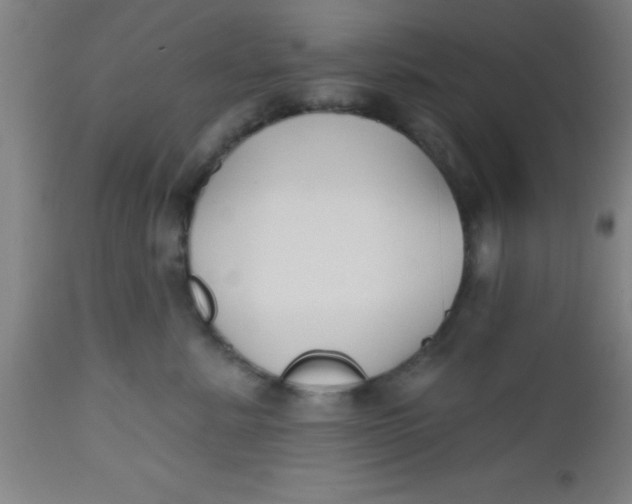 X0000112520619200909071335