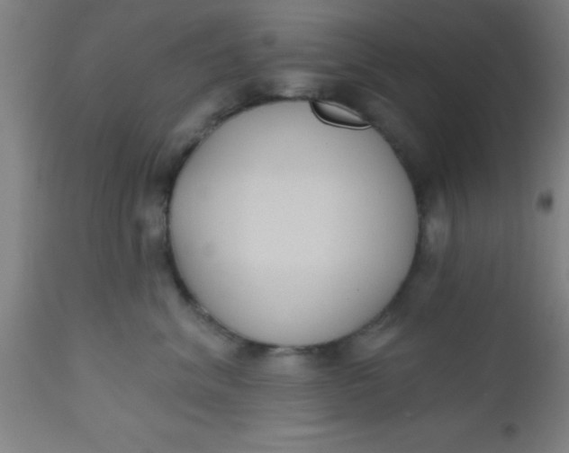 X0000112520620200909071335