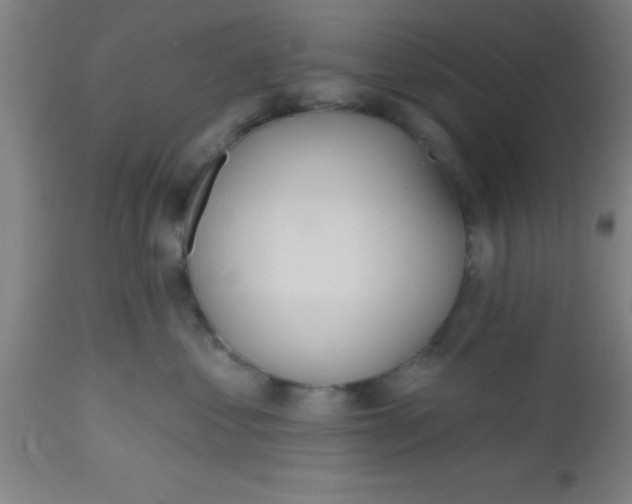 X0000112520621200909071335