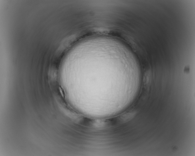 X0000112520623200909071335