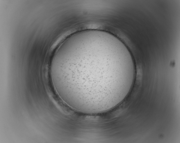 X0000112520626200909071334