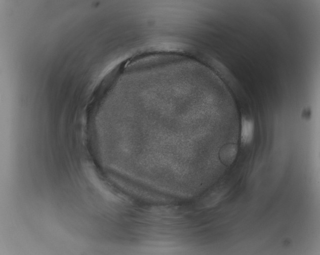 X0000112520627200909071334