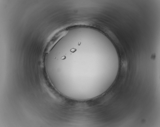 X0000112520628200909071334