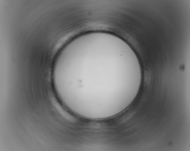X0000112520629200909071334