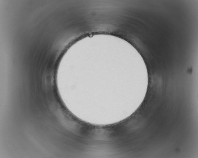 X0000112520632200909071334