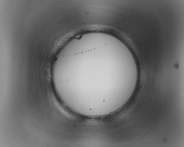 X0000112520633200909071334