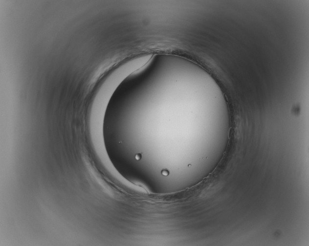 X0000112520634200909071334